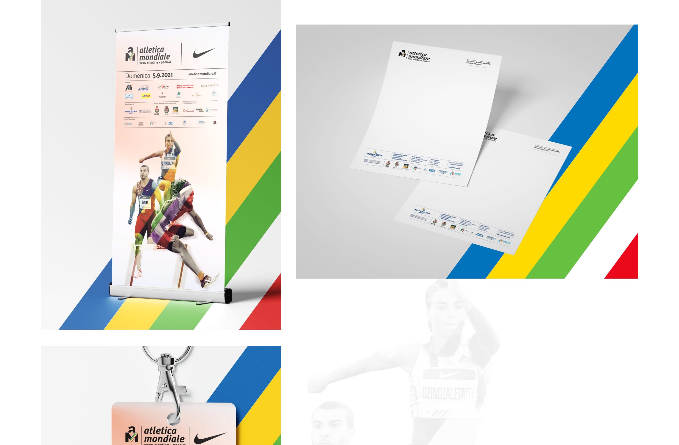 grafica 1