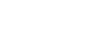 pro action logo
