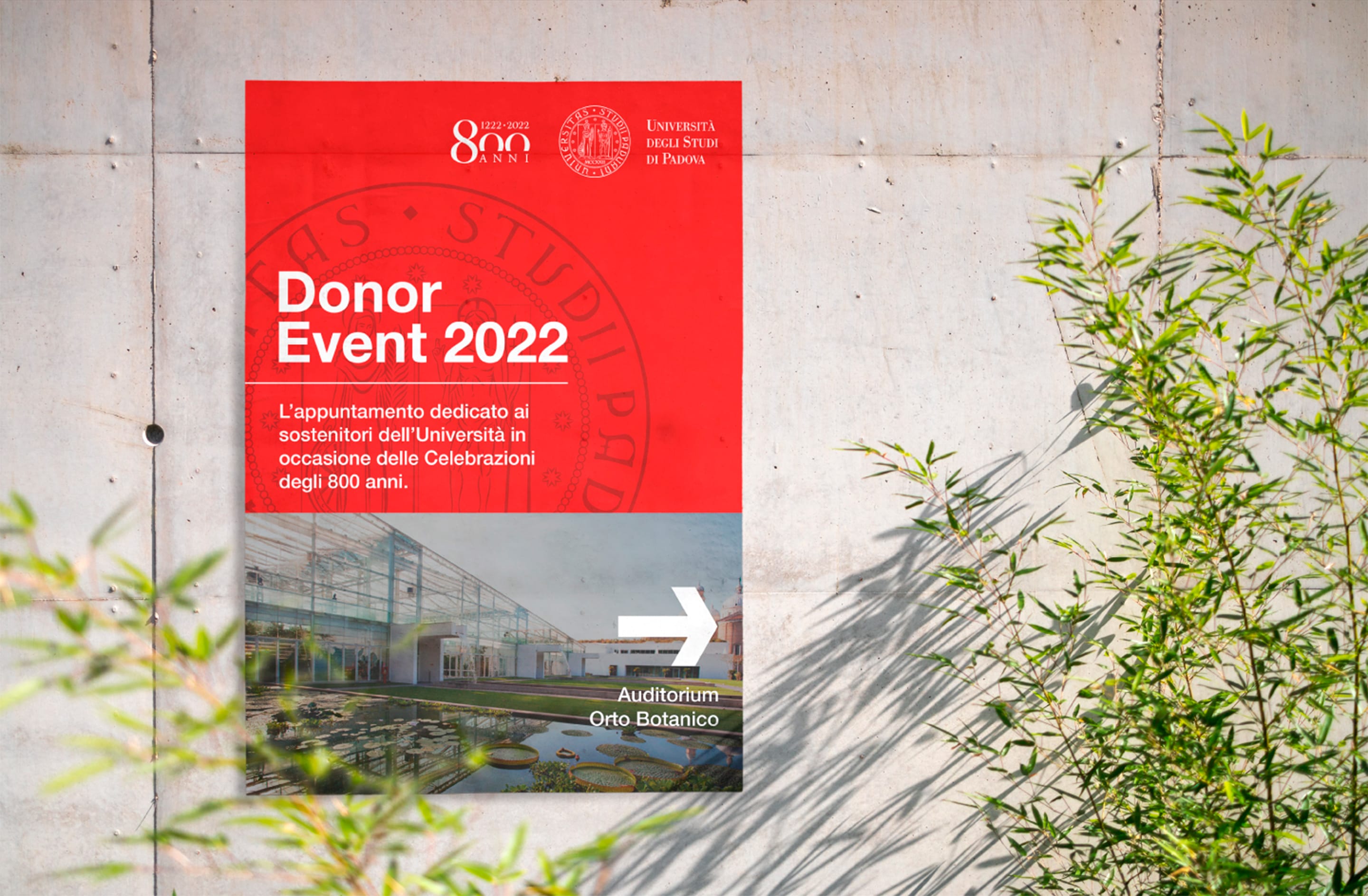 progettazione grafica 12x