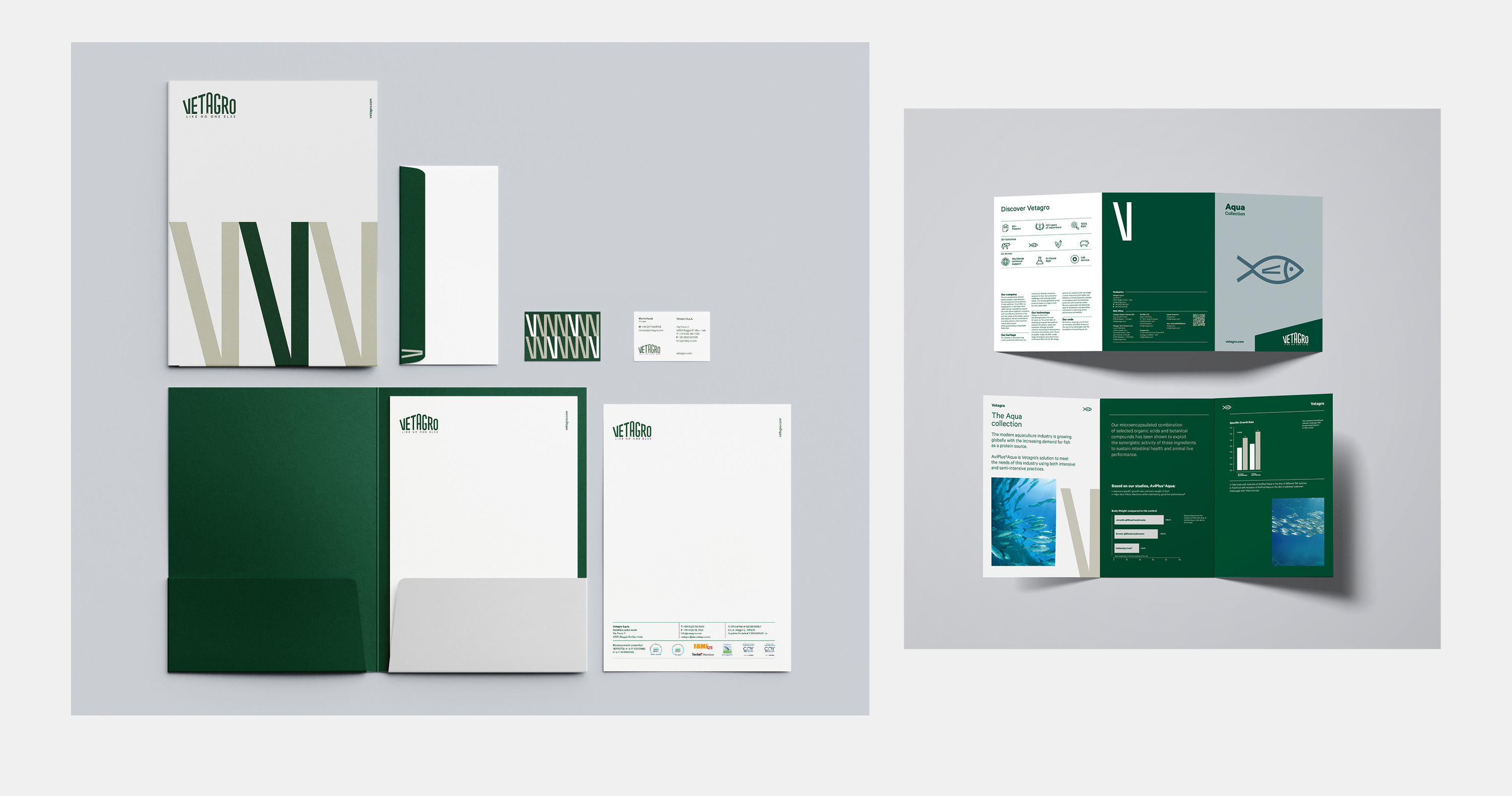 01 applicazione branding